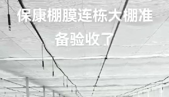 ?？蹬锬みB棟大棚準(zhǔn)備驗收